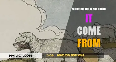 Nailed It: Uncovering the Surprising Origins of a Popular Phrase