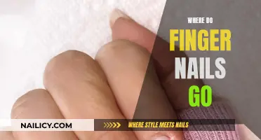 The Mystery of Fingernails: Where Do They Go?