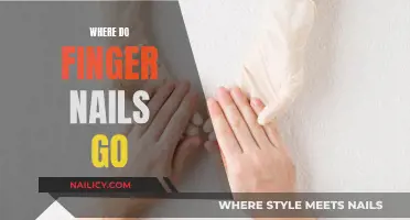The Mystery of Missing Fingernails: Where Do They Disappear?