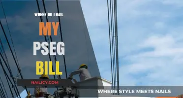 Where to Pay Your PSEG Bill: A Quick Guide
