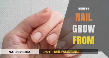 Nail Growth: Where Does It Originate?