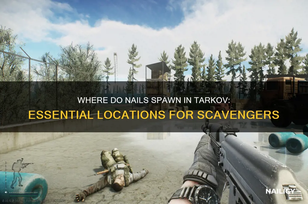 where do nails spawn tarkov
