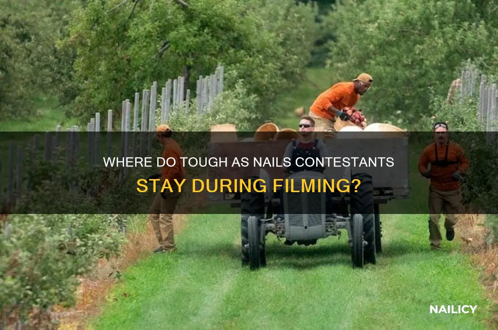 where do the tough as nails contestants stay