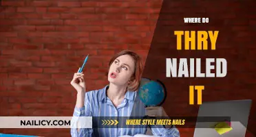 Where They Nailed It: Success Stories and Lessons Learned