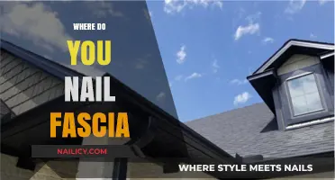 Nailing Fascia: Expert Tips on Where and How to Secure It