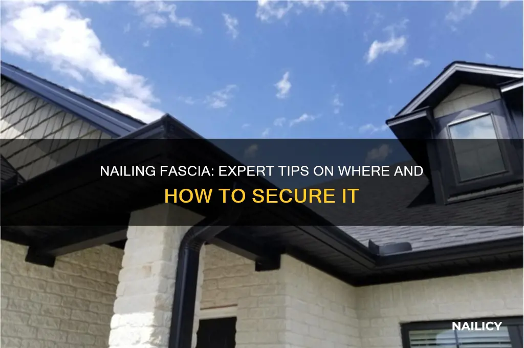 where do you nail fascia