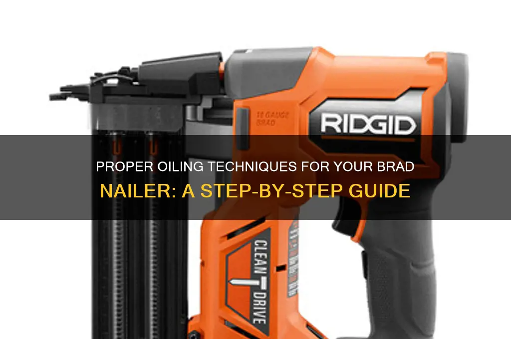 where do you oil a brad nailer