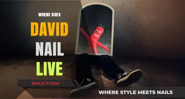 Discovering David Nail's Current Residence: Where Does He Live?