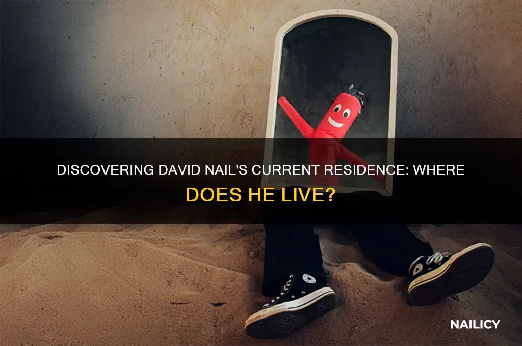 where does david nail live