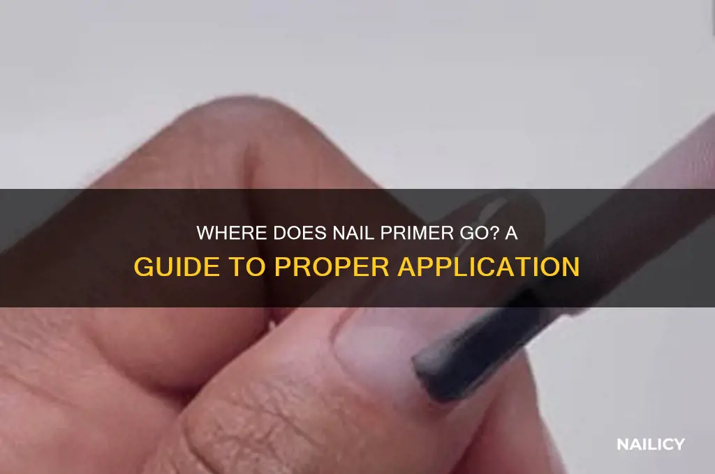 where does nail primer go