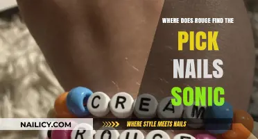 Rouge's Quest: Uncovering Sonic's Pick Nails Location in the Game