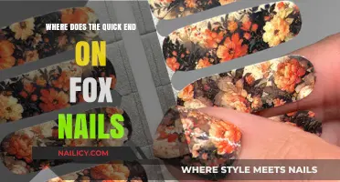 Where Does the Quick End on Fox Nails: A Guide to Safe Trimming