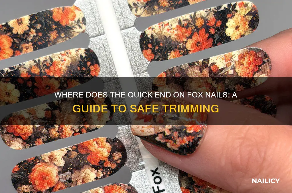 where does the quick end on fox nails