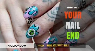 Exploring the Boundaries: Where Does Your Nail Truly End?