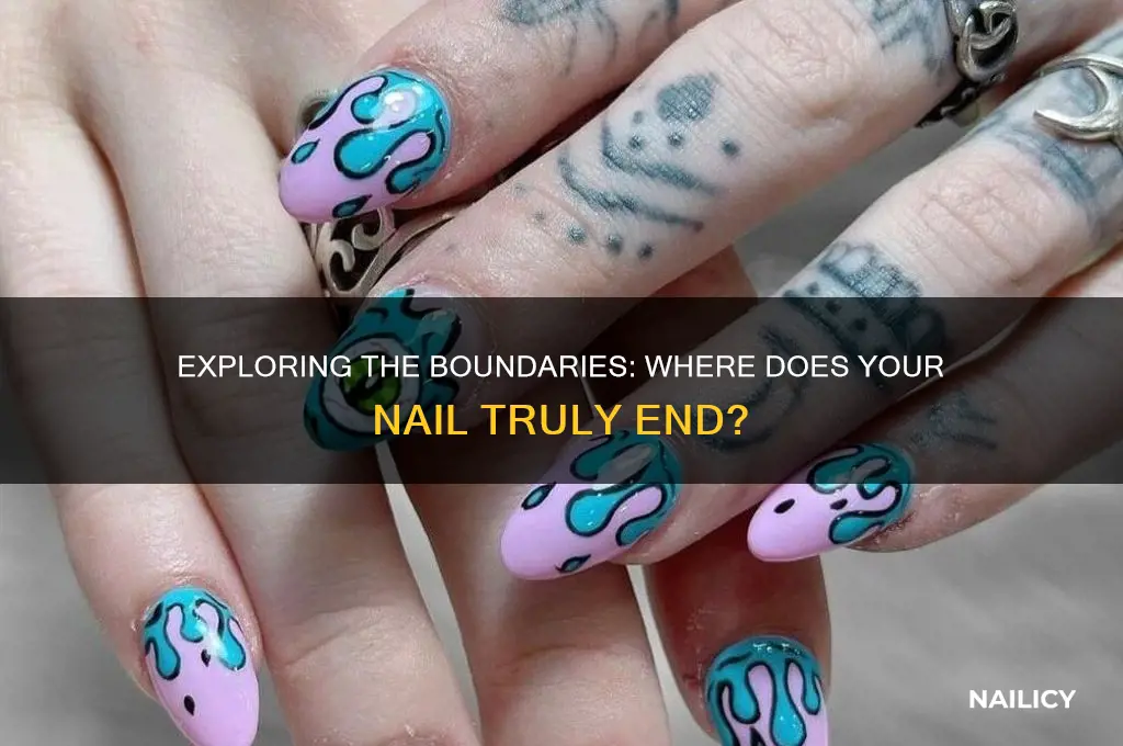 where does your nail end