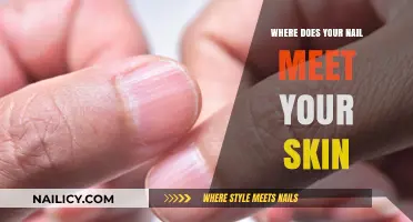 Understanding the Nail-Skin Junction: Where Your Nail Meets Your Skin