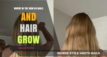 Skin Deep: Nails and Hair Growth Explored