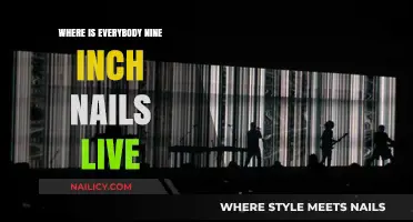 Nine Inch Nails Live: The Haunting Question of 'Where is Everybody?