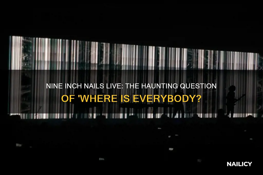 where is everybody nine inch nails live