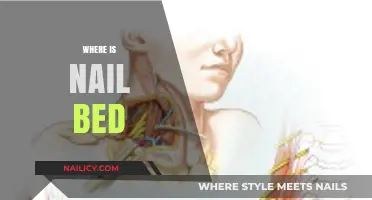 Understanding the Nail Bed: Location, Function, and Common Issues