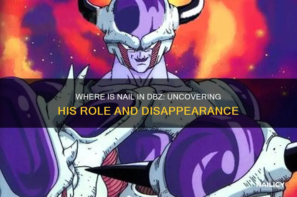 where is nail dbz