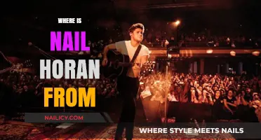 Unveiling Niall Horan's Roots: Exploring His Hometown and Irish Heritage