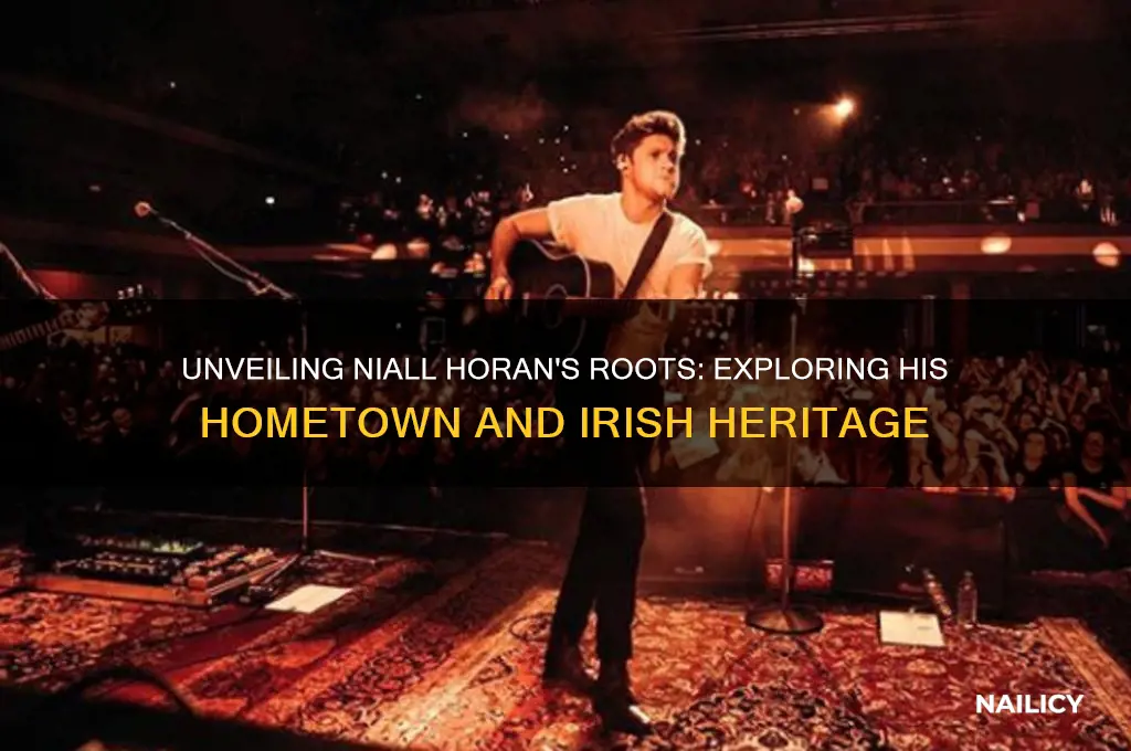 where is nail horan from
