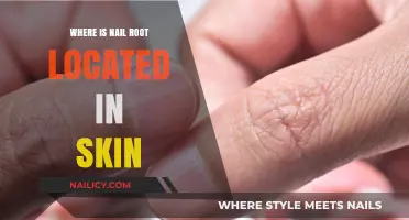 Understanding Nail Anatomy: Locating the Root Beneath Your Skin