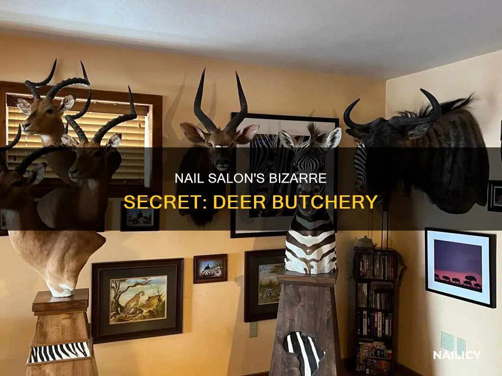 where is nail salon cutting up deer inside