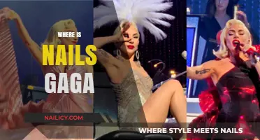 Where is Lady Gaga Now? Unveiling Her Latest Ventures and Projects
