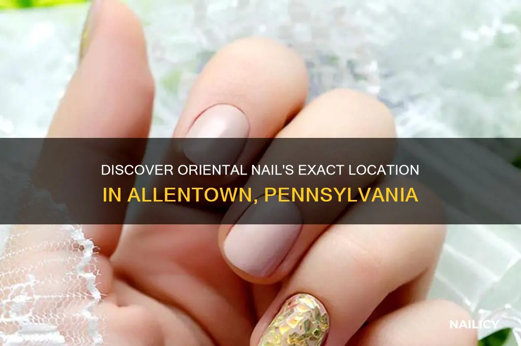 where is oriental nail located in allentown