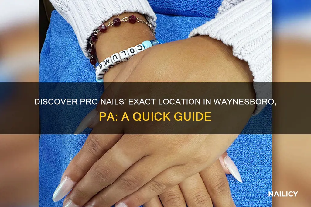 where is pro nails in waynesboro pa