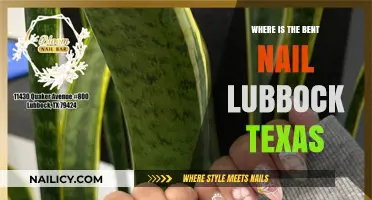 Uncovering the Mystery: Where is the Bent Nail in Lubbock, Texas?