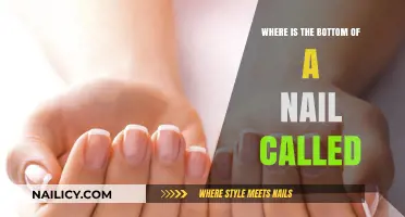 Unveiling the Nail's Anatomy: What's the Bottom Part Called?