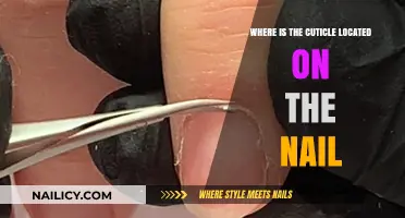 Understanding the Cuticle's Position on Your Fingernails and Toenails