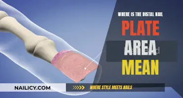 Understanding Distal Nail Plate Area: What Does It Mean?