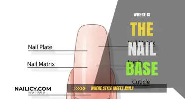 Understanding Nail Anatomy: Locating the Nail Base and Its Function