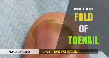 Understanding the Toenail's Nail Fold: Location and Importance Explained