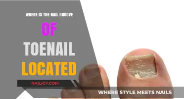 Toenail Anatomy: Locating the Nail Groove for Healthy Foot Care