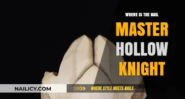 Discovering the Nail Master's Location in Hollow Knight: A Guide
