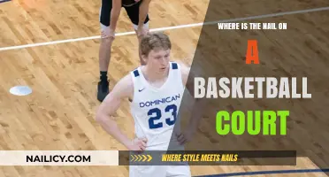 Basketball Court Anatomy: Locating the Nail's Position and Purpose