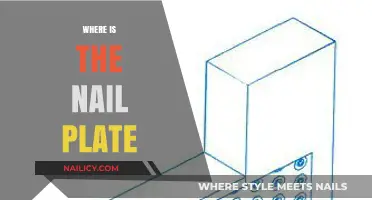 Understanding the Nail Plate: Location, Function, and Importance Explained