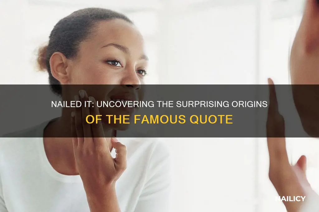 where is the quote nailed it from