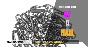 Understanding Nail Anatomy: Locating the Shank of a Nail
