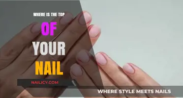 Understanding Nail Anatomy: Locating the Top of Your Nail