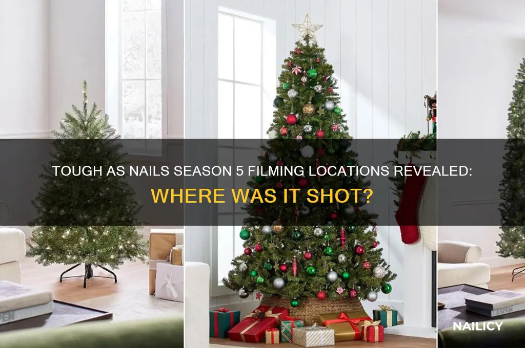 where is tough as nails season 5 filmed