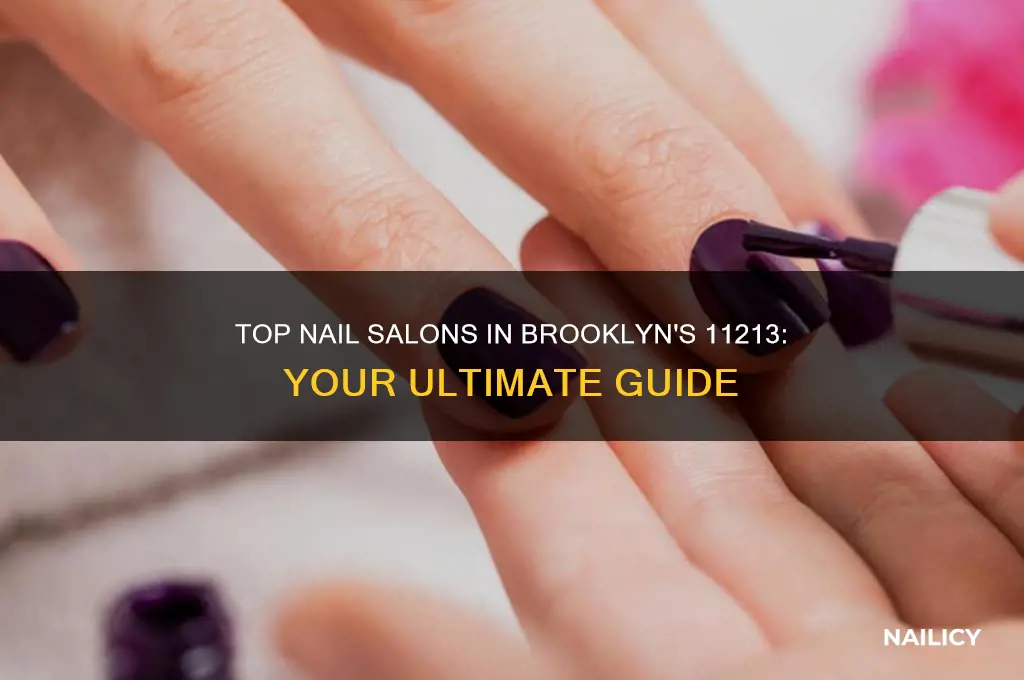 where nail salon in brooklyn ny 11213