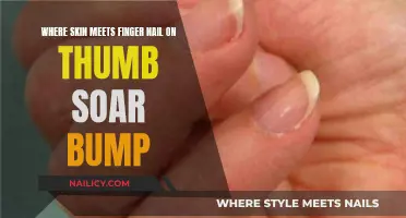 Thumb Bumps: Understanding the Skin-Nail Interface