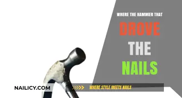Tracing the Hammer's Legacy: The Tool Behind Every Nail's Journey