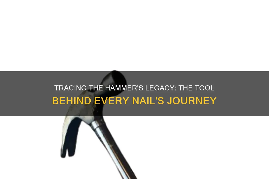 where the hammer that drove the nails